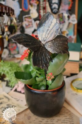 Metalowy motyl do doniczki (This Guy in a Hat)