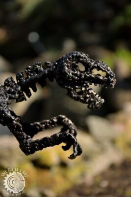 Metalowa rzeźba dinozaura (This Guy in a Hat)