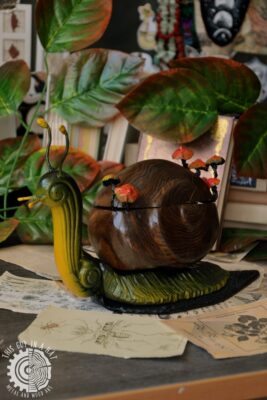 Drewniano metalowe pudełko w kształcie ślimaka (This Guy in a Hat)