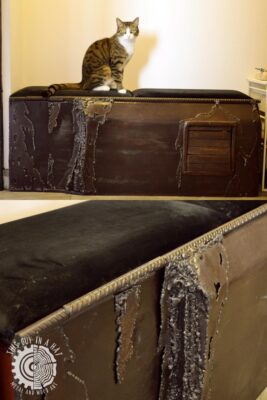 Drewniana kuweta dla kota z siedziskiem (This Guy in a Hat)