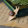 Broszka z rzeźbą winniczka (Unique Fantasy Objects)