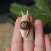 Broszka z rzeźbą winniczka (Unique Fantasy Objects)
