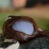 Naszyjnik z borsukiem i agatem pasiastym (Unique Fantasy Objects)