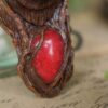 Naszyjnik z niedźwiedziem i jadeitem (Unique Fantasy Objects)