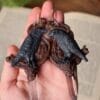 Kolczyki z krukiem i kryształem górskim (Unique Fantasy Objects)
