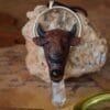 Naszyjnik z żubrem, bawolim okiem i kryształem górskim (Unique Fantasy Objects)