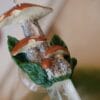 Naszyjnik z rzeźbą koźlarza i kryształem górskim (Unique Fantasy Objects)