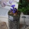 Słoik na zioła ozdobiony grzybami lakówka ametystowa (Unique Fantasy Objects)