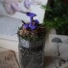 Słoik na zioła ozdobiony grzybami lakówka ametystowa (Unique Fantasy Objects)