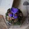 Słoik na zioła ozdobiony grzybami lakówka ametystowa (Unique Fantasy Objects)