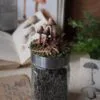 Słoiczek na zioła ozdobiony grzybami łysiczka (Unique Fantasy Objects)