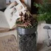 Słoiczek na zioła ozdobiony grzybami łysiczka (Unique Fantasy Objects)