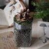 Słoiczek na zioła ozdobiony grzybami łysiczka (Unique Fantasy Objects)