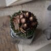 Słoiczek na zioła ozdobiony grzybami łysiczka (Unique Fantasy Objects)