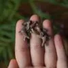 Małe kolczyki z rzeźbą zająca (Unique Fantasy Objects)
