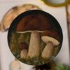 Magnes z namalowanymi grzybami polskimi (Unique Fantasy Objects)