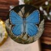 Magnes z namalowanymi polskimi motylami (Unique Fantasy Objects)