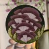Magnes z namalowanymi grzybami polskimi (Unique Fantasy Objects)