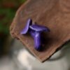Małe kolczyki z grzybem lakówka ametystowa (Unique Fantasy Objects)