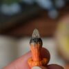Naszyjnik z leśnymi grzybami i kamieniami (Unique Fantasy Objects)