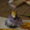 Przypinka z rzeźbami grzybów (Unique Fantasy Objects)