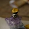 Przypinka z rzeźbami grzybów (Unique Fantasy Objects)