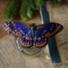 Spinka do włosów z motylem mieniak strużnik (Unique Fantasy Objects)