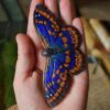 Spinka do włosów z motylem mieniak strużnik (Unique Fantasy Objects)