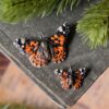 Naszyjnik z motylem rusałka osetnik (Unique Fantasy Objects)