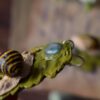 Kolczyki z rzeźbą wstężyka gajowego i labradorytem (Unique Fantasy Objects)