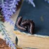 Małe kolczyki z krocionogami (Unique Fantasy Objects)