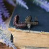 Małe kolczyki z krocionogami (Unique Fantasy Objects)