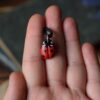 Mały naszyjnik z rzeźbą biedronki (Unique Fantasy Objects)