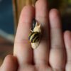Mały naszyjnik ze ślimakiem wstężyk gajowy (Unique Fantasy Objects)