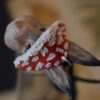 Naszyjnik z zającem w kapeluszu muchomora (Unique Fantasy Objects)