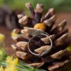 Regulowany pierścionek z rzeźbą ślimaka wstężyk gajowy (Unique Fantasy Objects)