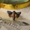Regulowany pierścionek z rzeźbą ćmy zmierzchnica trupia główka (Unique Fantasy Objects)