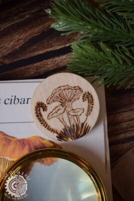 Wypalony magnes z grzybami (This Guy in a Hat)