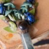Naszyjnik z wilgotnicą papuzią i żukiem wiosennym (Unique Fantasy Objects)