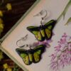 Kolczyki z rzeźbą motyla Ornithoptera goliath (Unique Fantasy Objects)