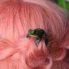 Wsuwka do włosów z rzeźbą żaby jeziorkowej Wsuwka do włosów z rzeźbą żaby jeziorkowej (Unique Fantasy Objects)