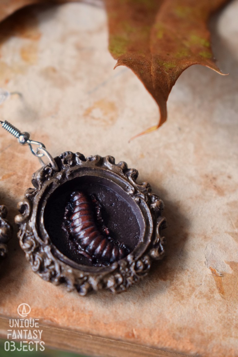 Kolczyki z krocionogiem w ramce Kolczyki z krocionogiem w ramce (Unique Fantasy Objects)