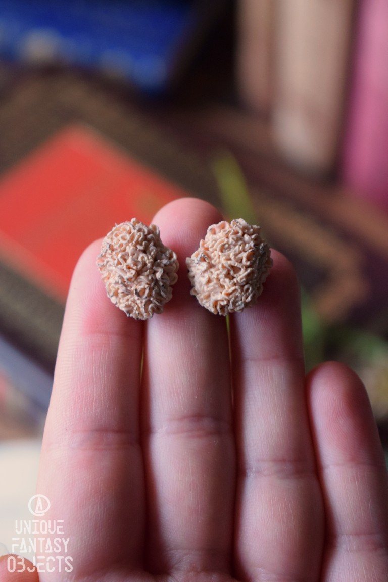 Małe kolczyki z leśnymi grzybami Małe kolczyki z leśnymi grzybami (Unique Fantasy Objects)