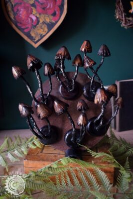 Magnesy grzyby (This Guy in a Hat)