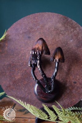 Magnesy grzyby (This Guy in a Hat)