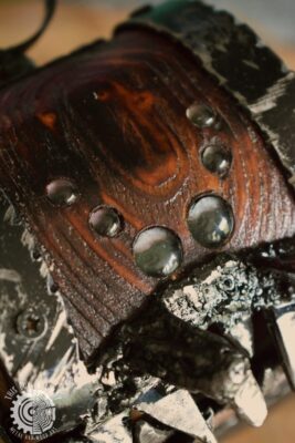 Drewniana skrzynka mimik pająk (This Guy in a Hat)