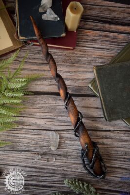 Magiczne różdżki (This Guy in a Hat)