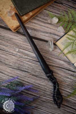 Magiczne różdżki (This Guy in a Hat)