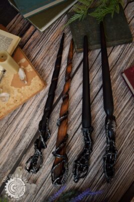 Różdżki (This Guy in a Hat)