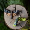 Kolczyki z rzeźbą ćmy Zmierzchnica trupia główka oraz jego gąsienicy (Unique Fantasy Objects)